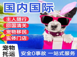 六盘水月照机场快运国际宠物托运 【国